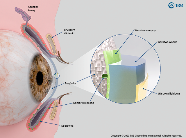 Ophthalmology-Tear-film-visualization1